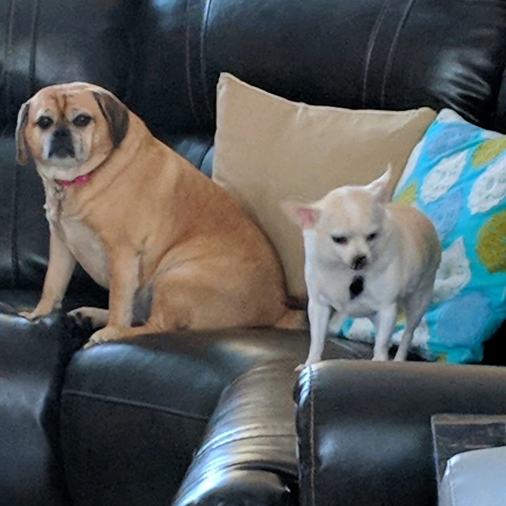 Meet your Posher, Tammy